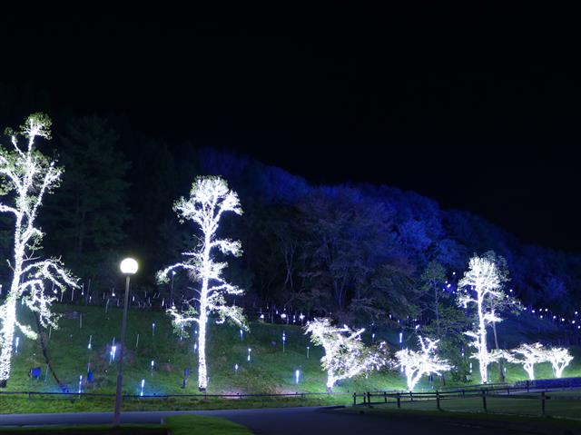 メナード青山リゾート　ライトアップ