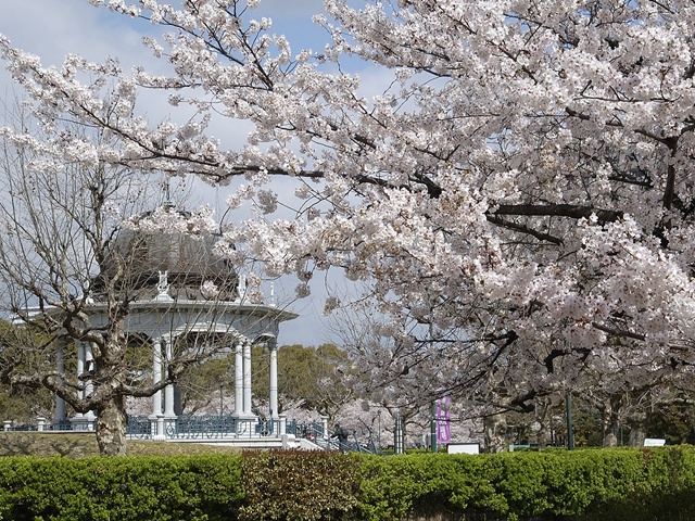 名古屋市内のお花見 桜の名所 夜桜 ライトアップや桜祭りも るるぶ More