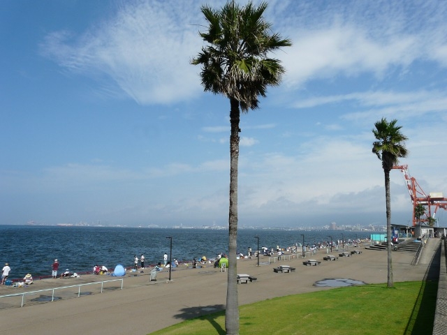 鳴尾 浜 海 釣り 公園