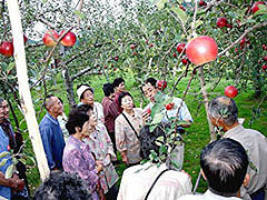りんごの里 平塚果樹園