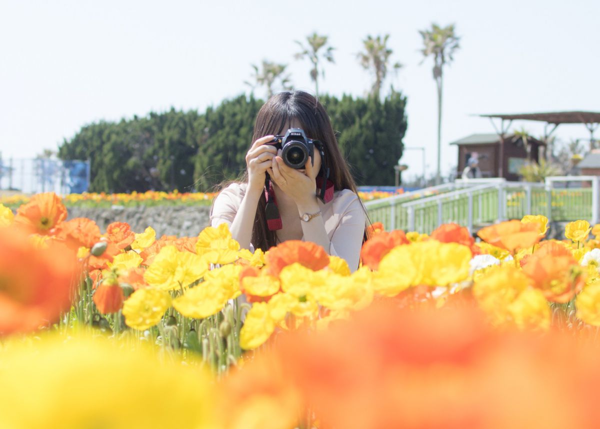 フォトジェニックなカメラ女子旅 初心者でも理想の写真が撮れる 一眼レフでおでかけ撮影テク7 るるぶ More