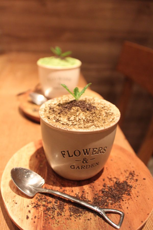 鉢植えほうじ茶ティラミスセット(単品900円、セット 1200円)