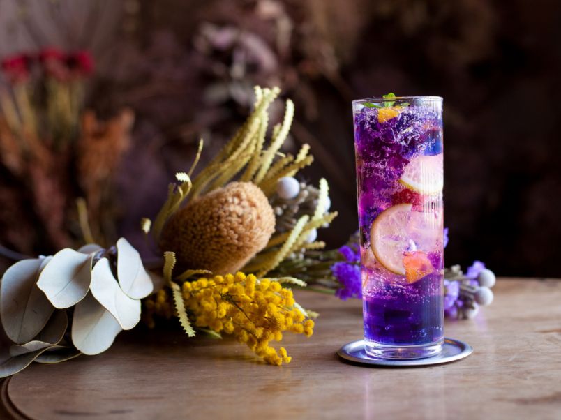 l_xN7GoQWQJ5xpekWQdso674PG8D0e