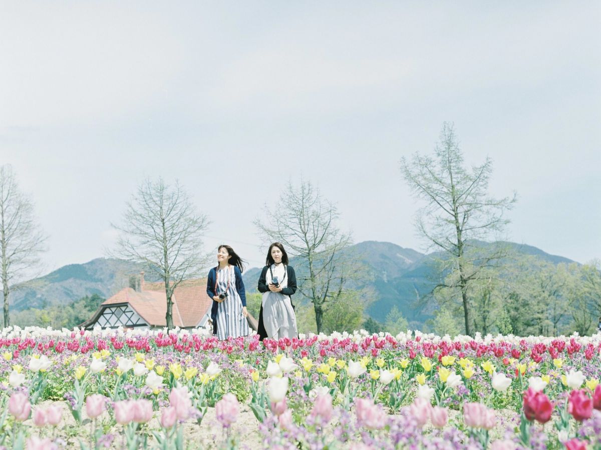休日は滋賀で 春の花 を満喫 Masaの関西カメラさんぽ22 るるぶ More