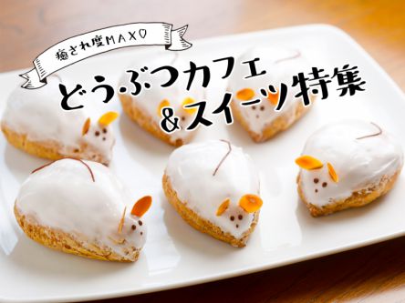 癒され度MAX♩どうぶつカフェ&スイーツ特集