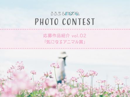 るるぶ&more.1周年記念 フォトコンテスト応募作品紹介 Vol.02「気になるアニマル賞」
