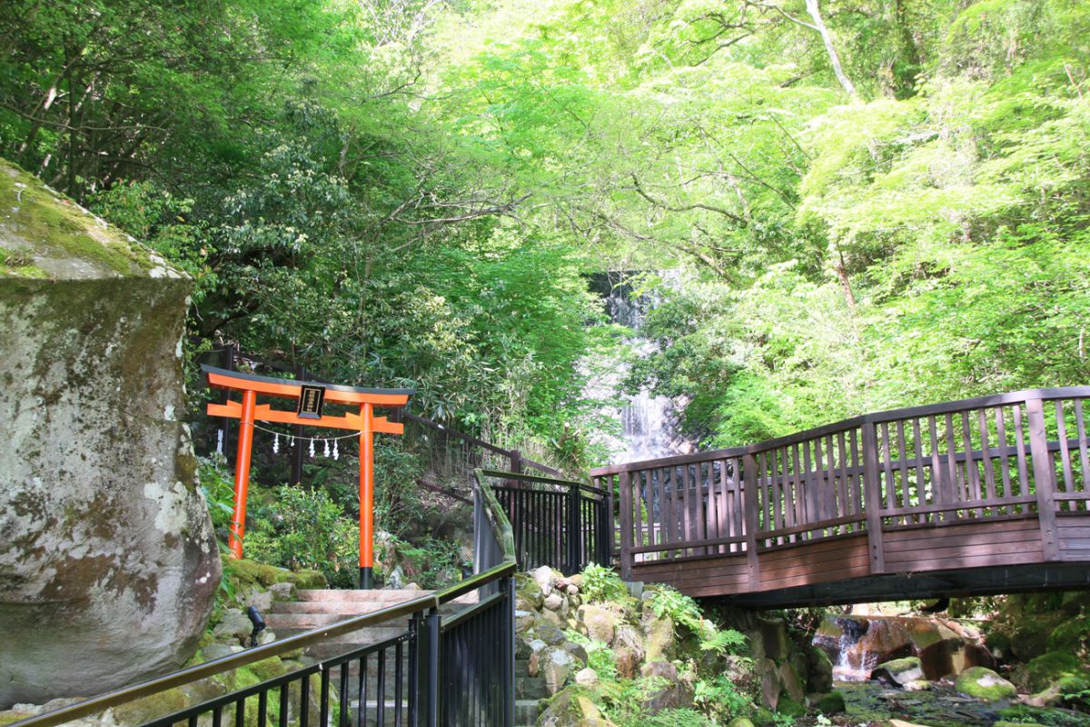 気持ちのよい渓流沿いの散策コース。無料のコーヒーが用意されているので、コーヒー片手に朝の散歩などいかが?