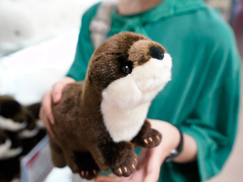 本物そっくりコツメカワウソ 1500円(税込)