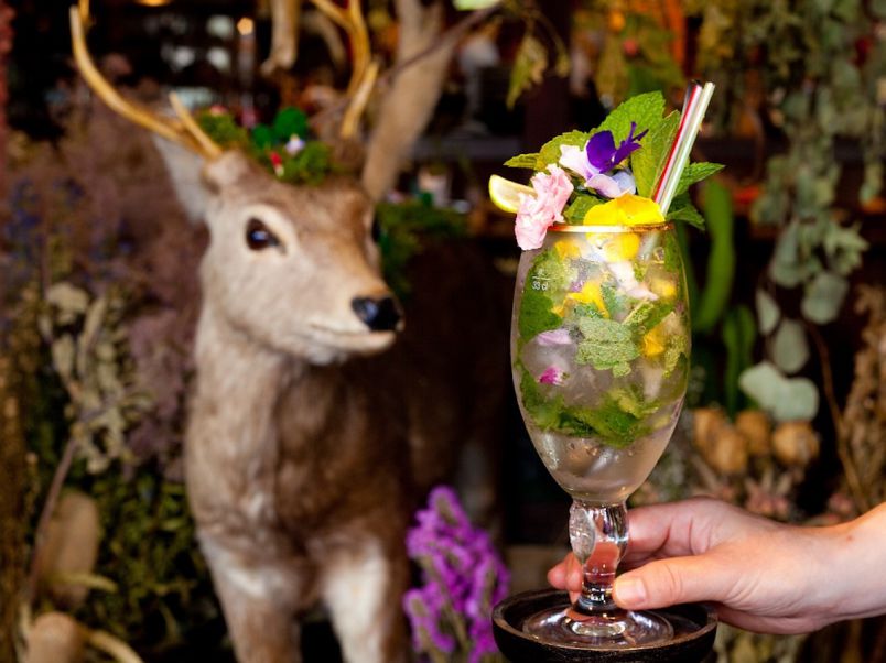 色とりどりの花スイーツにうっとり 京都の隠れ家カフェ 秘密基地植物園とカフェバー