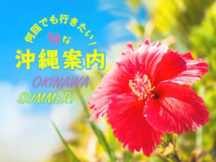 何回でも行きたい！旬な沖縄案内