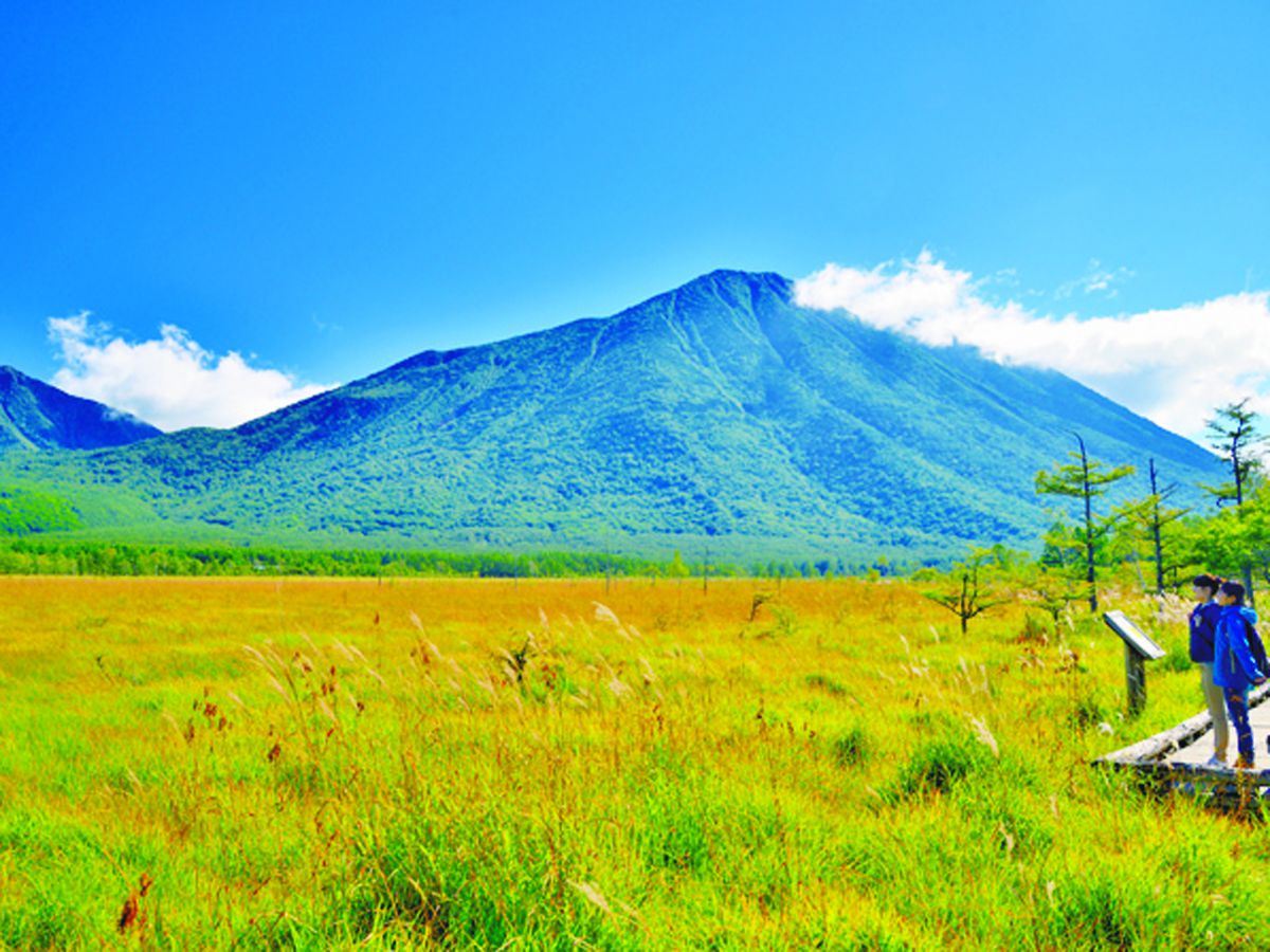 奥日光の湿原で夏の絶景に会える 戦場ヶ原ハイキング るるぶ More