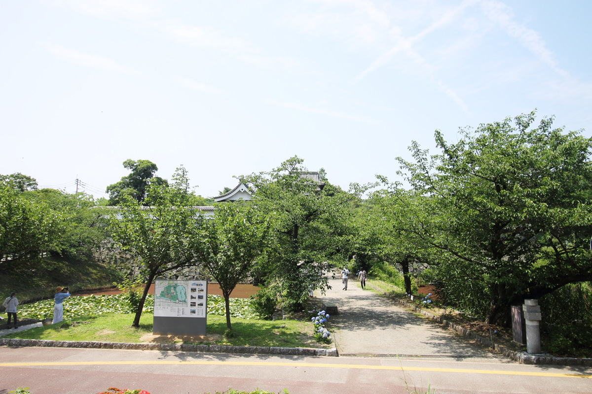 福岡城址