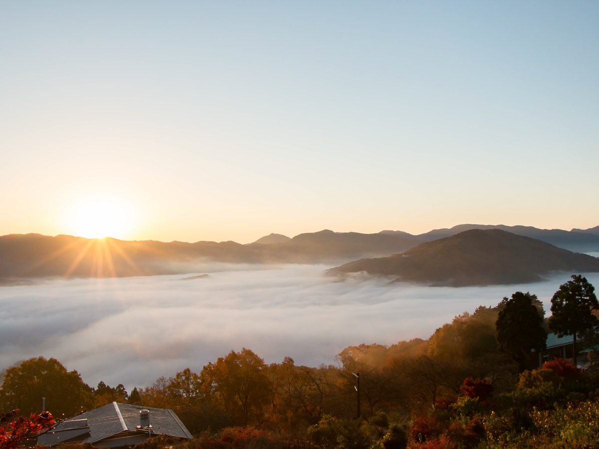 特に春や秋に発生する確率が高い/寶登山神社