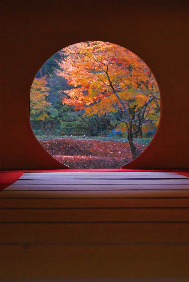 (写真提供:明月院)