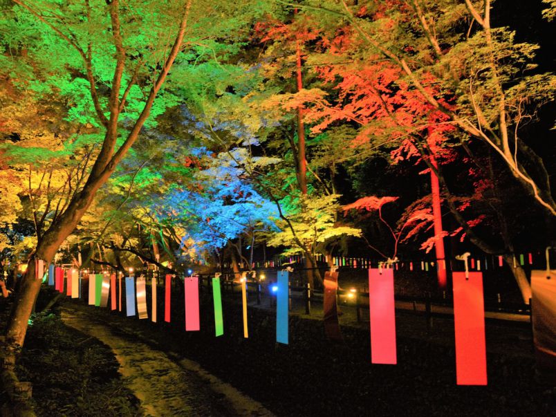 幻想的なライトアップが楽しめる「京の七夕」開催！願い事は、五山の