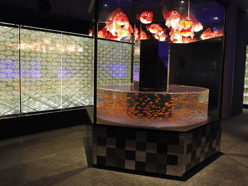 夏の映えるイベントといったら「金魚」でしょ！「東京金魚ワンダーランド2019」で新展示スタート