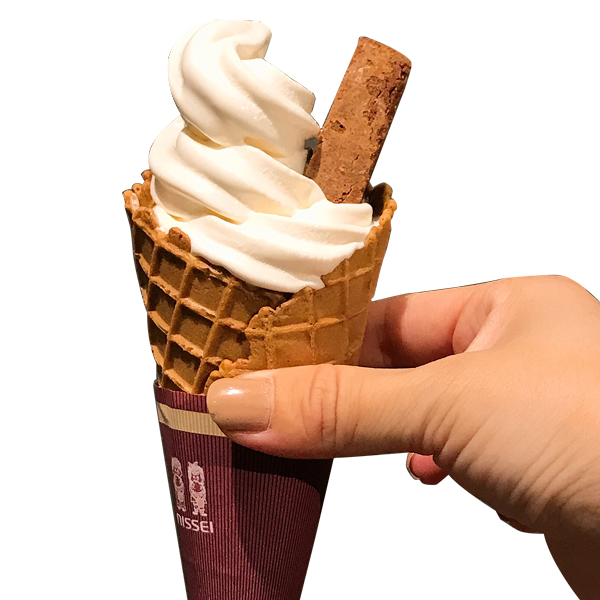 ファットウィッチソフト509円(税抜)