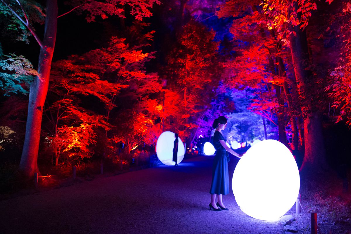 チームラボ 世界遺産 下鴨神社で 自然が自然のままアートになる を体感 るるぶ More チームラボ 世界遺産 下鴨神社で 自然が自然のままアートになる を体感 るるぶ More