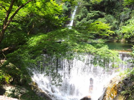 癒しの休日におすすめ！神戸の絶景「布引の滝」でパワーチャージ