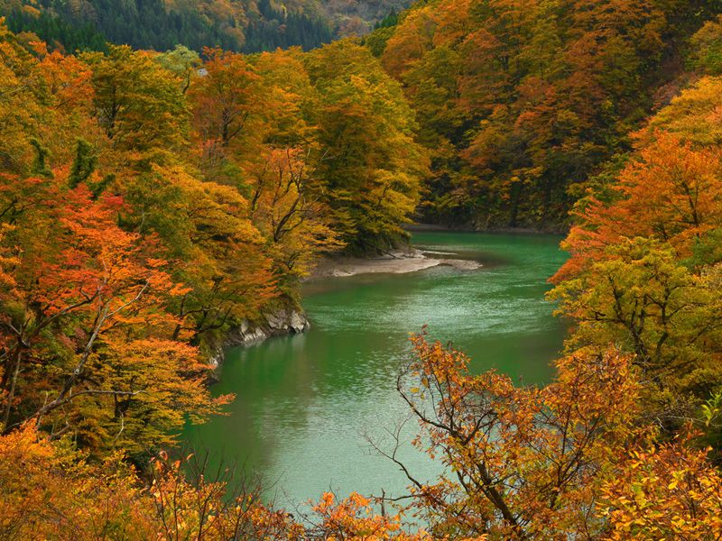 新潟県でおすすめの紅葉名所 見頃やライトアップなどの年情報 るるぶ More