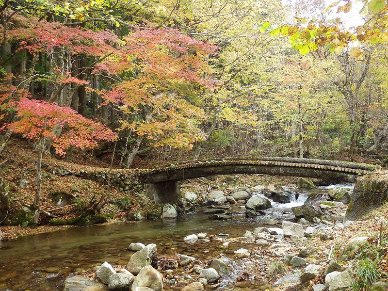 鳥取県でおすすめの紅葉名所 見頃やライトアップなどの年情報 るるぶ More