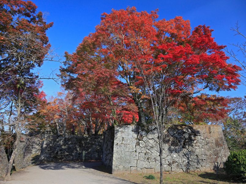 大分県でおすすめの紅葉名所 見頃やライトアップなどの年情報 るるぶ More