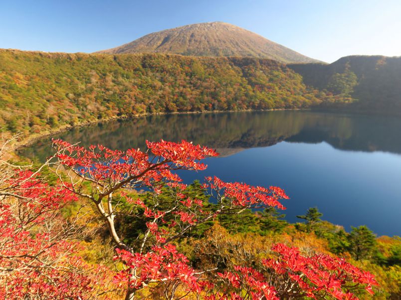 鹿児島県でおすすめの紅葉名所 見頃やライトアップなどの年情報 るるぶ More