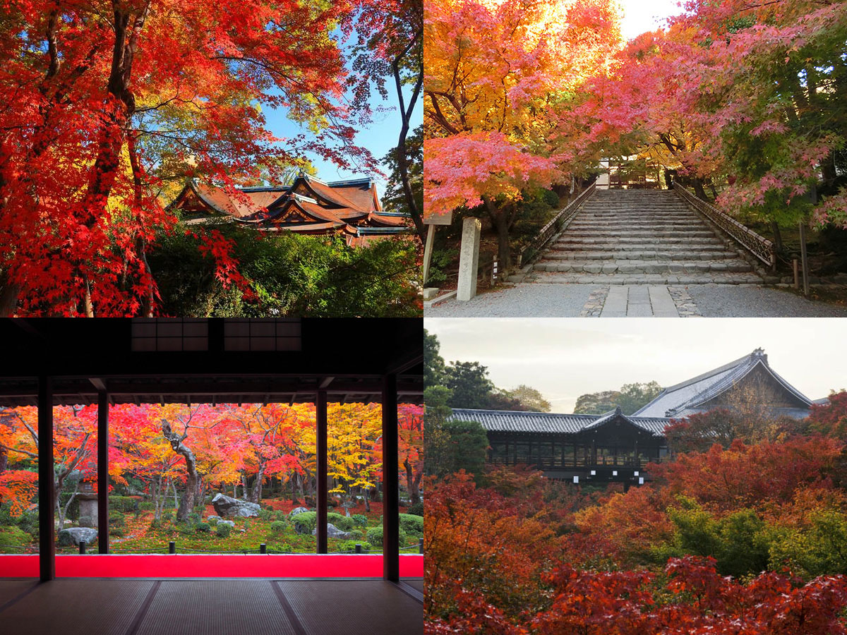 京都のおすすめ紅葉名所をエリアごとにチェック 年はどこ行く るるぶ More