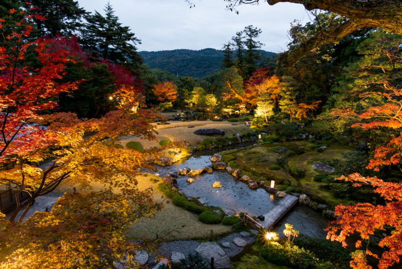 京都の紅葉がBARに変わる!?　3日間限りの夜の庭園パーティ