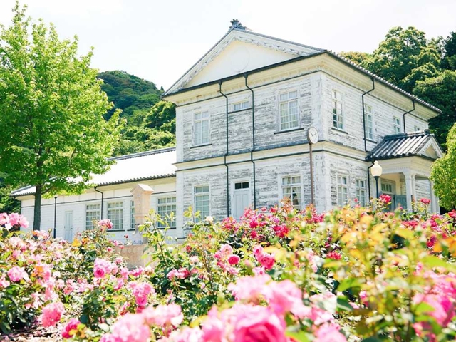 淡路島 ほっこり ファーム