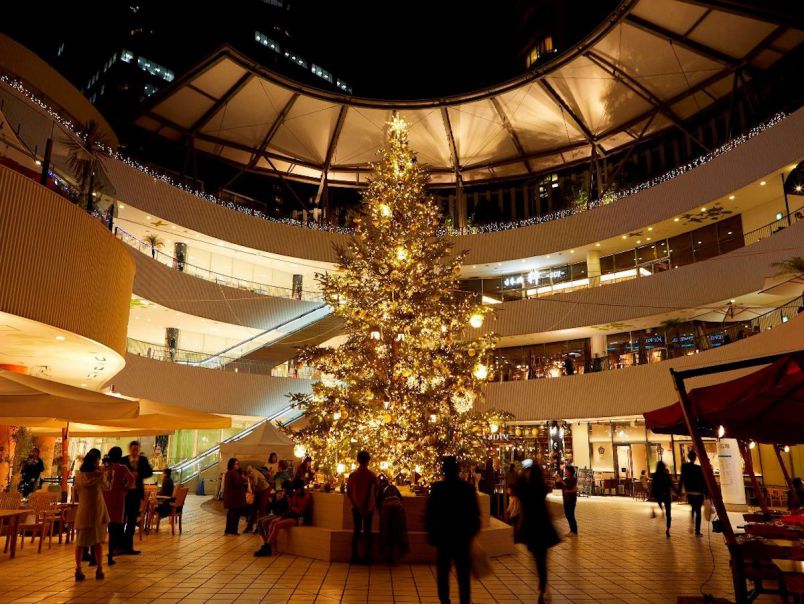 モミの木の高さは8m！横浜ベイクォーターのイルミネーション「クリスマスライトガーデン」