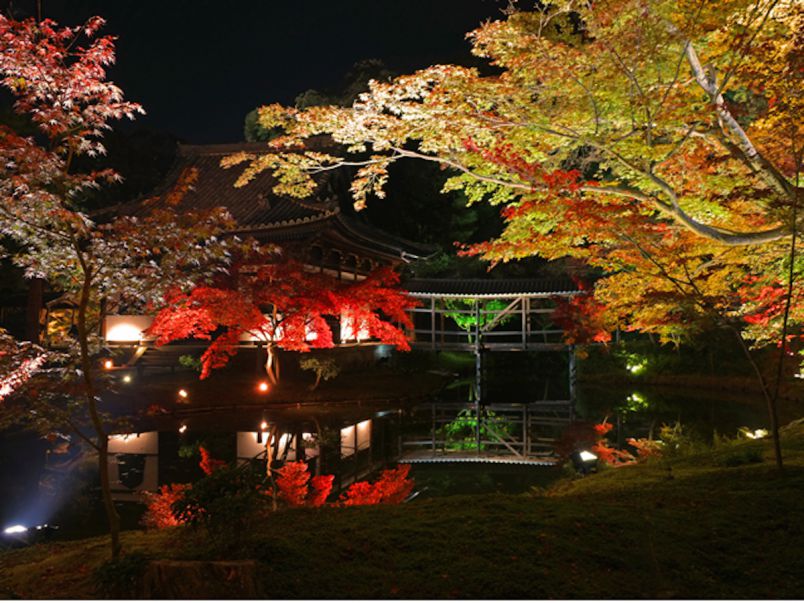 深まる秋をライトアップで楽しむ！京都・祇園の夜遊びデートプラン