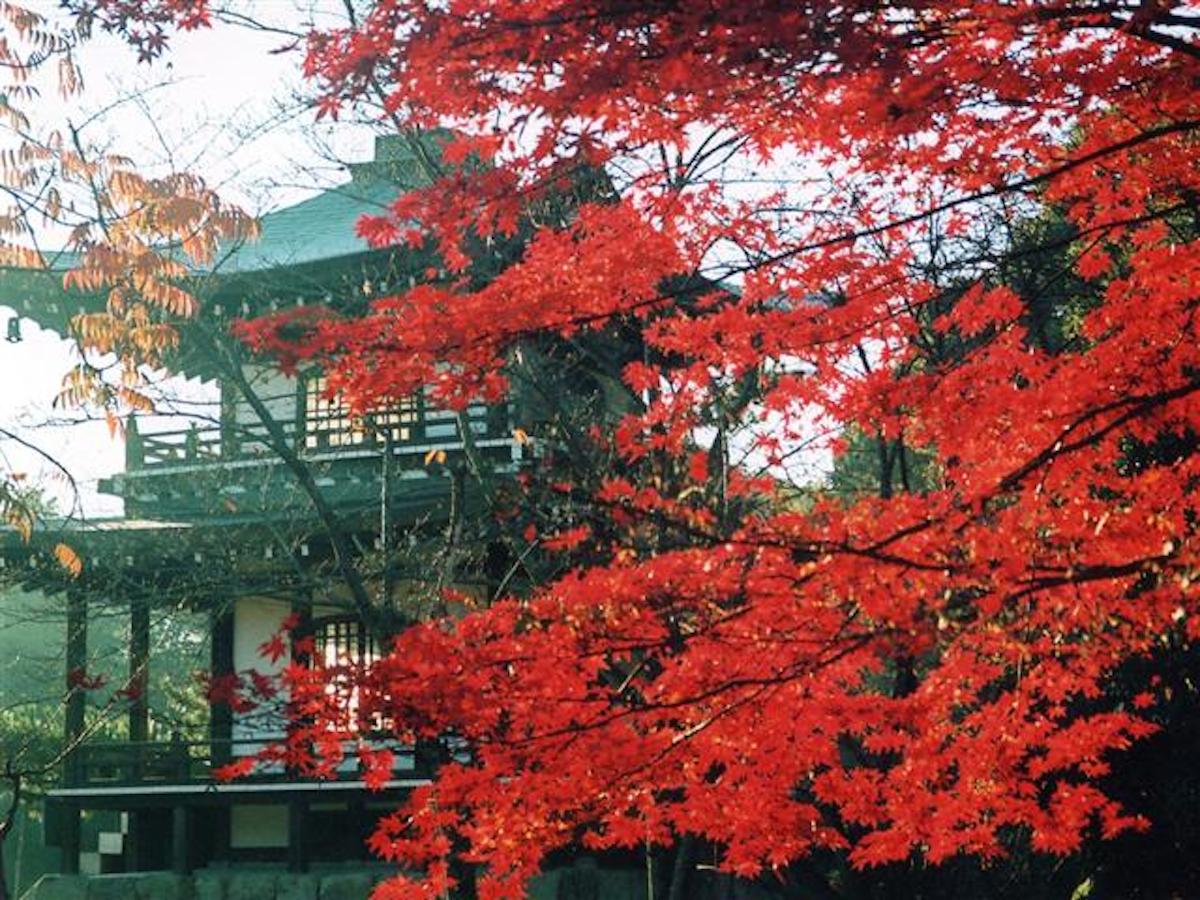 京都郊外の秋景色を探せ 紅葉の定番 穴場スポットを求めてドライブ るるぶ More
