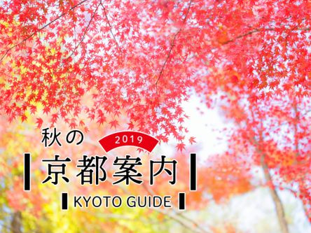 秋の京都案内2019
