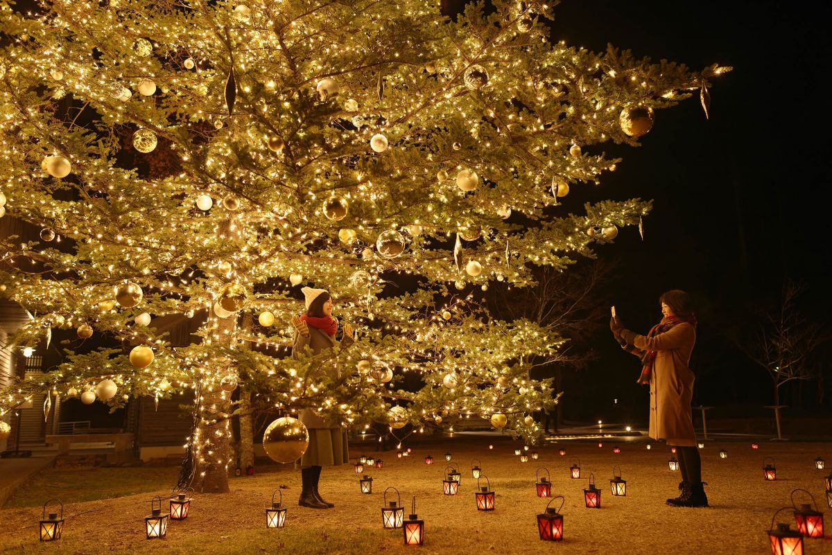 限定スイーツも登場 軽井沢星野エリアのクリスマスイルミネーション るるぶ More