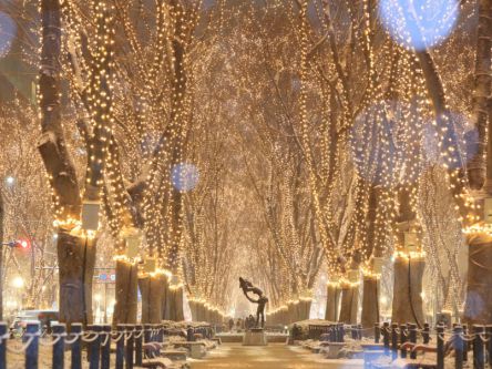東北のイルミネーション人気ランキング。雪まつり、冬の花火が多数！2019-2020