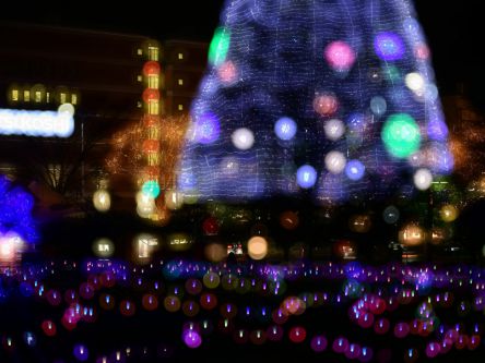 仙台、青根温泉など、宮城県のおすすめイルミネーション（2019-2020）