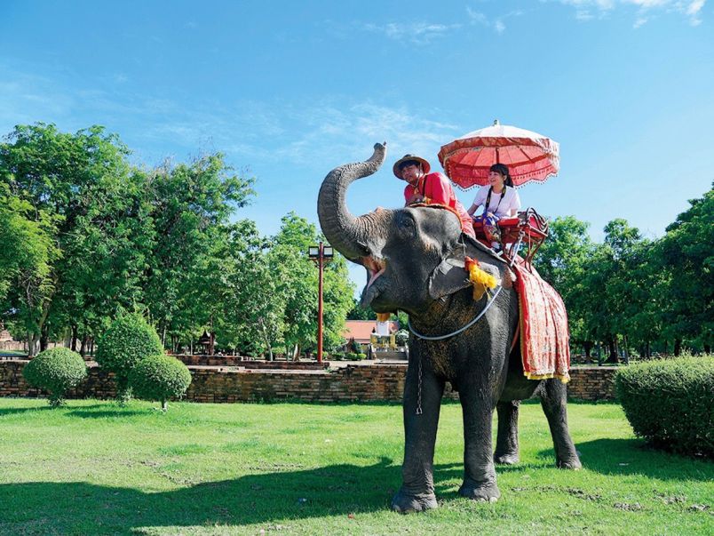タイで一度はやってみたい異文化体験ベスト3！エレファントライド＆トゥクトゥク＆水上マーケット｜るるぶ&more.
