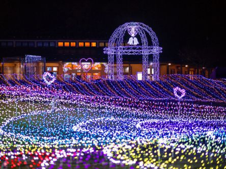 長野県のおすすめイルミネーション（2019-2020）安曇野、軽井沢、佐久など