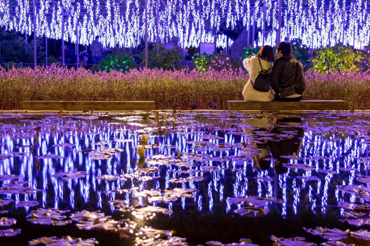 日本三大イルミあしかがフラワーパーク Flower Fantasy 光の花の庭19 開催 るるぶ More