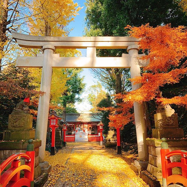 @mabashi_inari_jinja