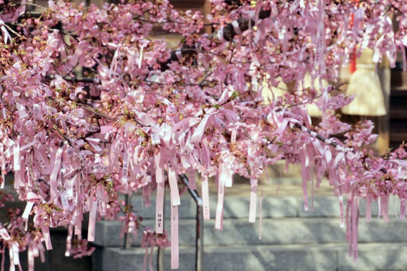 ©神社・御朱印メモ