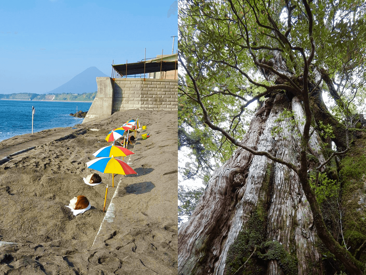 意外に近い 指宿と屋久島は高速船で繋がっています 2泊3日モデルコース るるぶ More