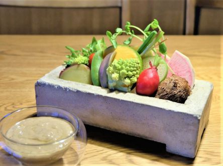 “多肉植物”が味わえる!?おいしいアートが揃うモダンカフェが大人気