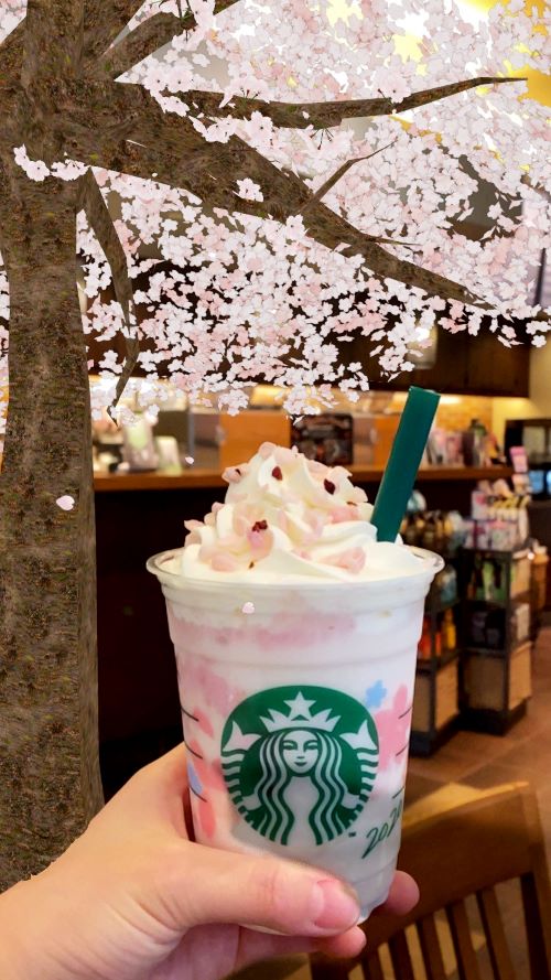 スタバのsakuraシリーズ第一弾 さくら ミルクプリン フラペチーノ は2月15日から発売スタート るるぶ More