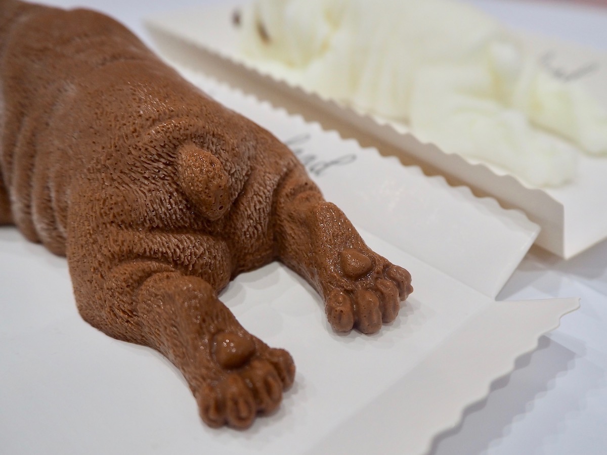 衝撃的なビジュアル リアルすぎて絶対驚くワンちゃんケーキ るるぶ More