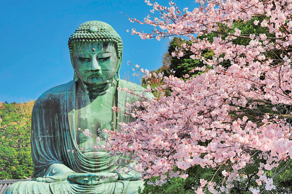 鎌倉の桜絶景スポット5選 古都ならではの雅な桜名所を紹介 るるぶ More