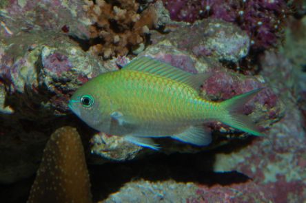 新江ノ島水族館に春がきた！春の訪れを祝う「えのすいイースター」を開催【お得なチケット購入情報付き】