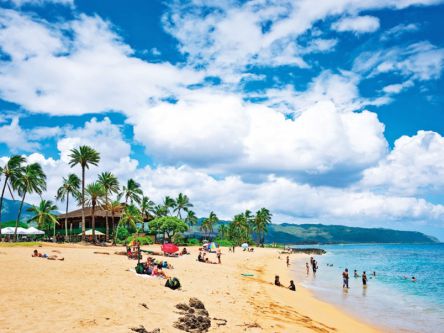 サーファーの聖地 ！活気あふれるオールドタウン、ハレイワの過ごし方って？