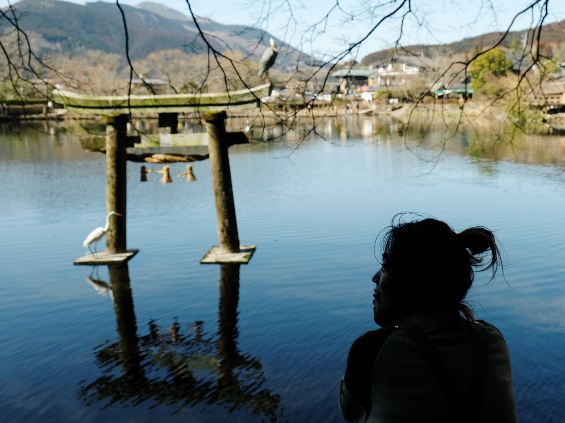 まだ知らない ゆふいん へご案内 憧れの温泉郷 由布市を巡る大人の贅沢パワーチャージ るるぶ More